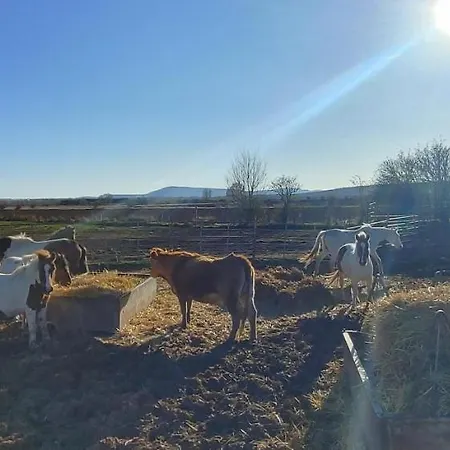 別荘 Casa Del Medio