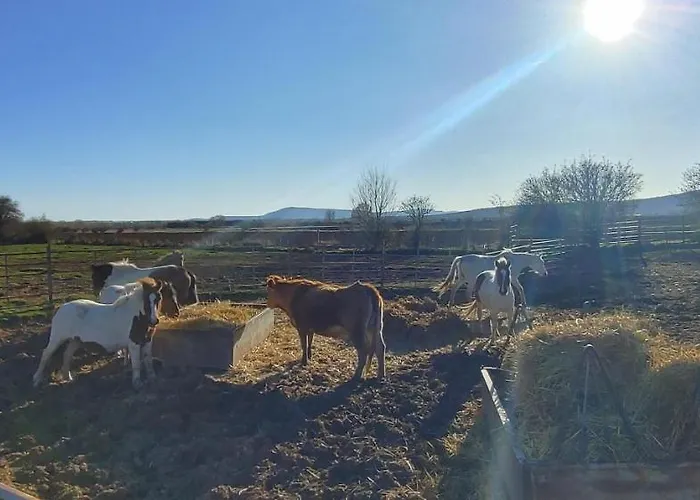 別荘 Casa Del Medio